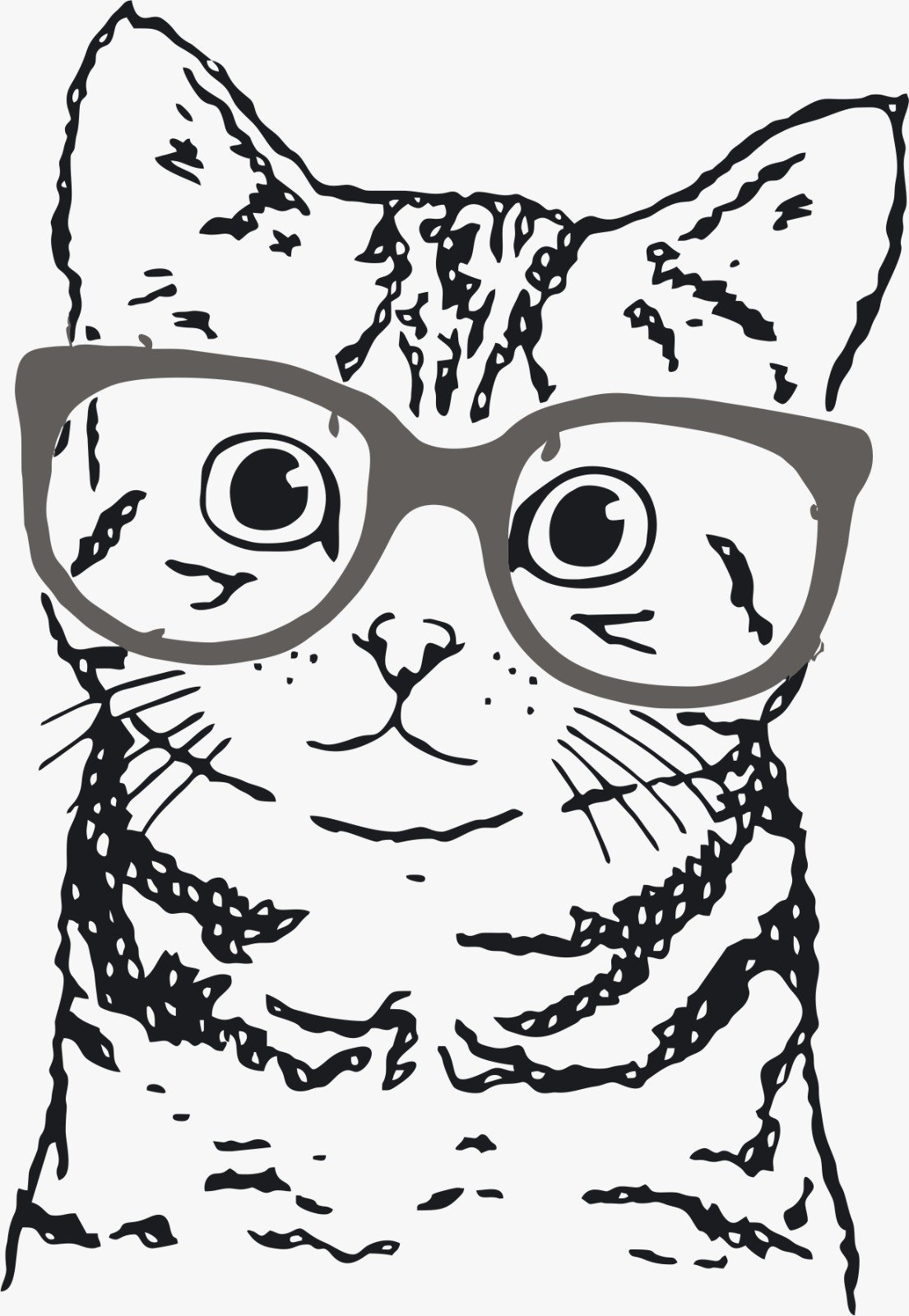 Cat Wearing Glasses - Desktop Wallpapers, Phone Wallpaper, PFP, Gifs ...