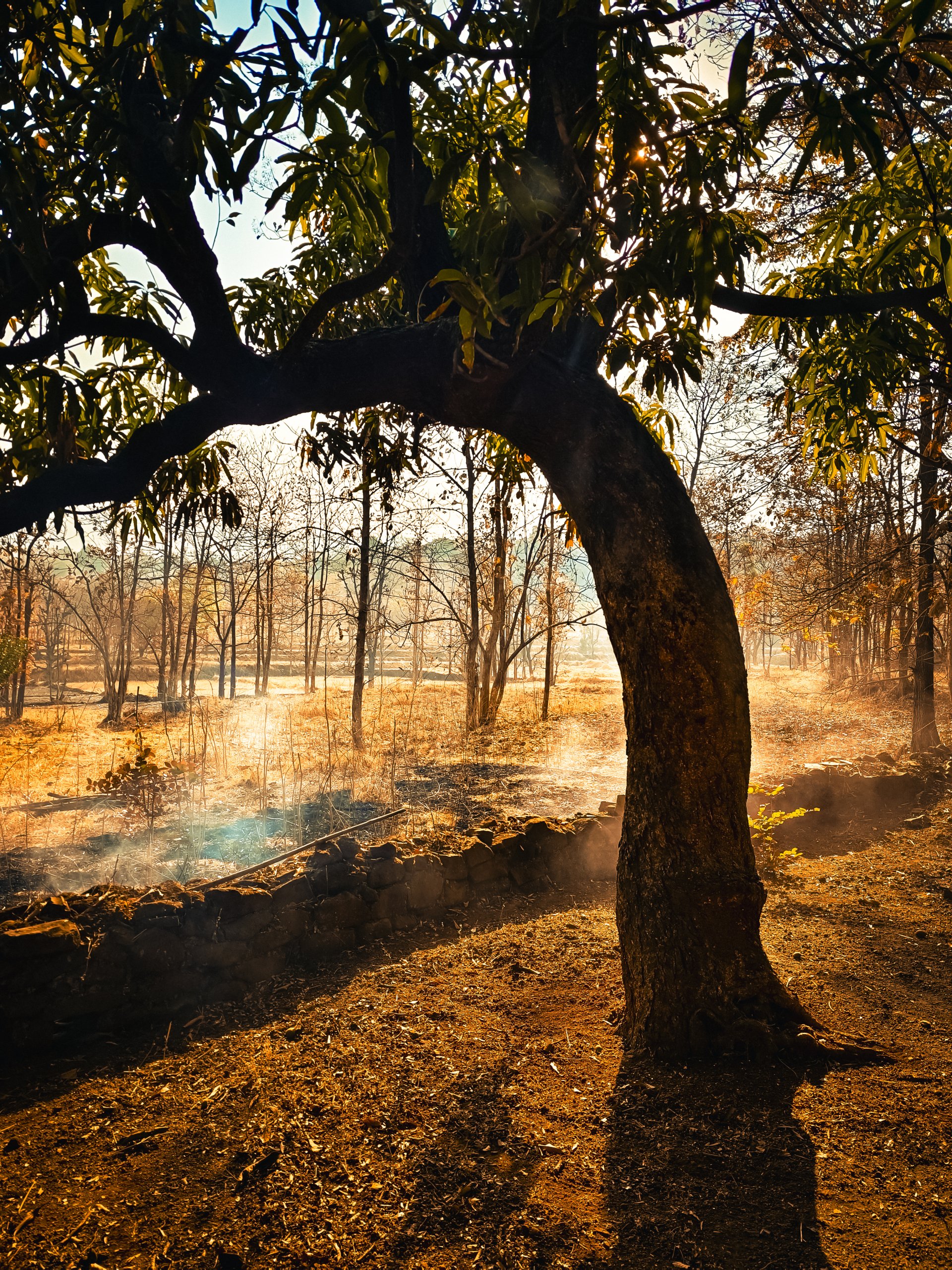 Village morning by karanGhadi