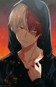 Shoto Todoroki in a dark hoodie, half-white half-red hair, serious expression, embers drifting against a glowing fiery background.