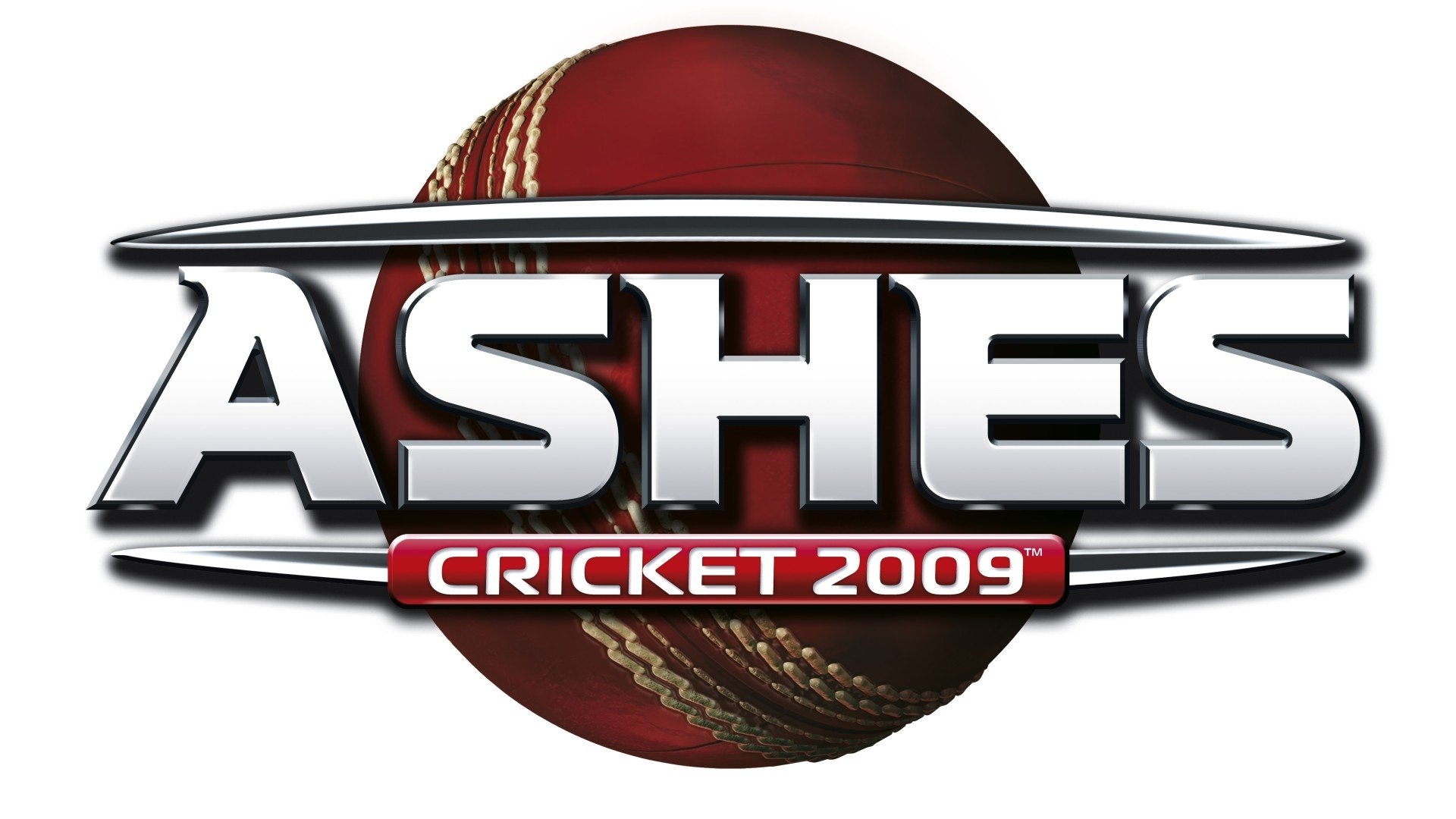video game Ashes Cricket 2009 Image
