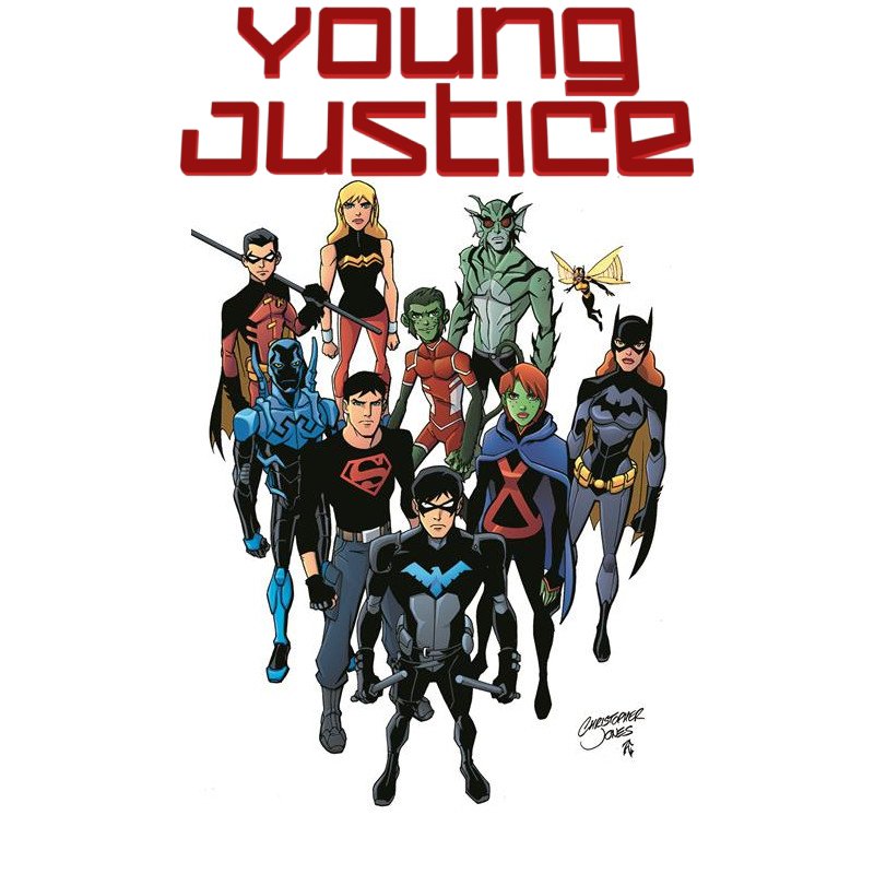 Download Young Justice Image