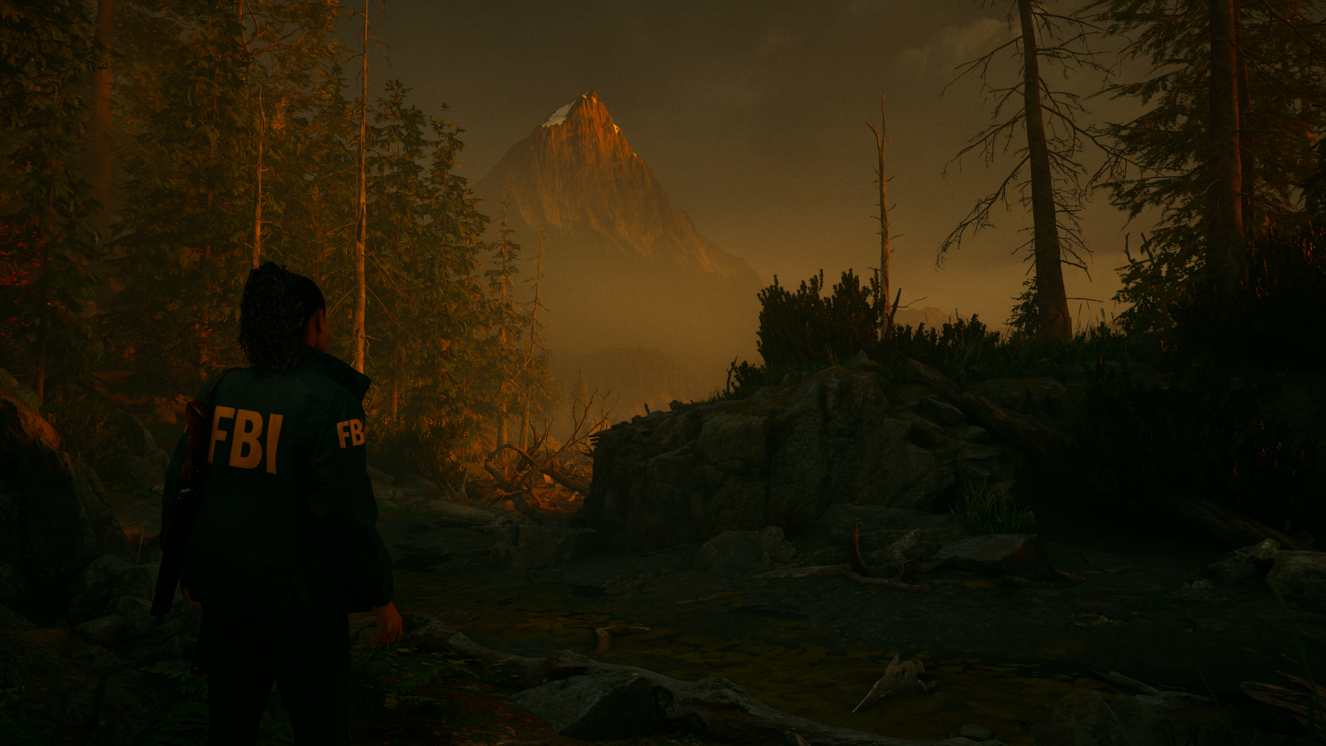 Download Alan Wake 2 Video Game Image by yorai1212