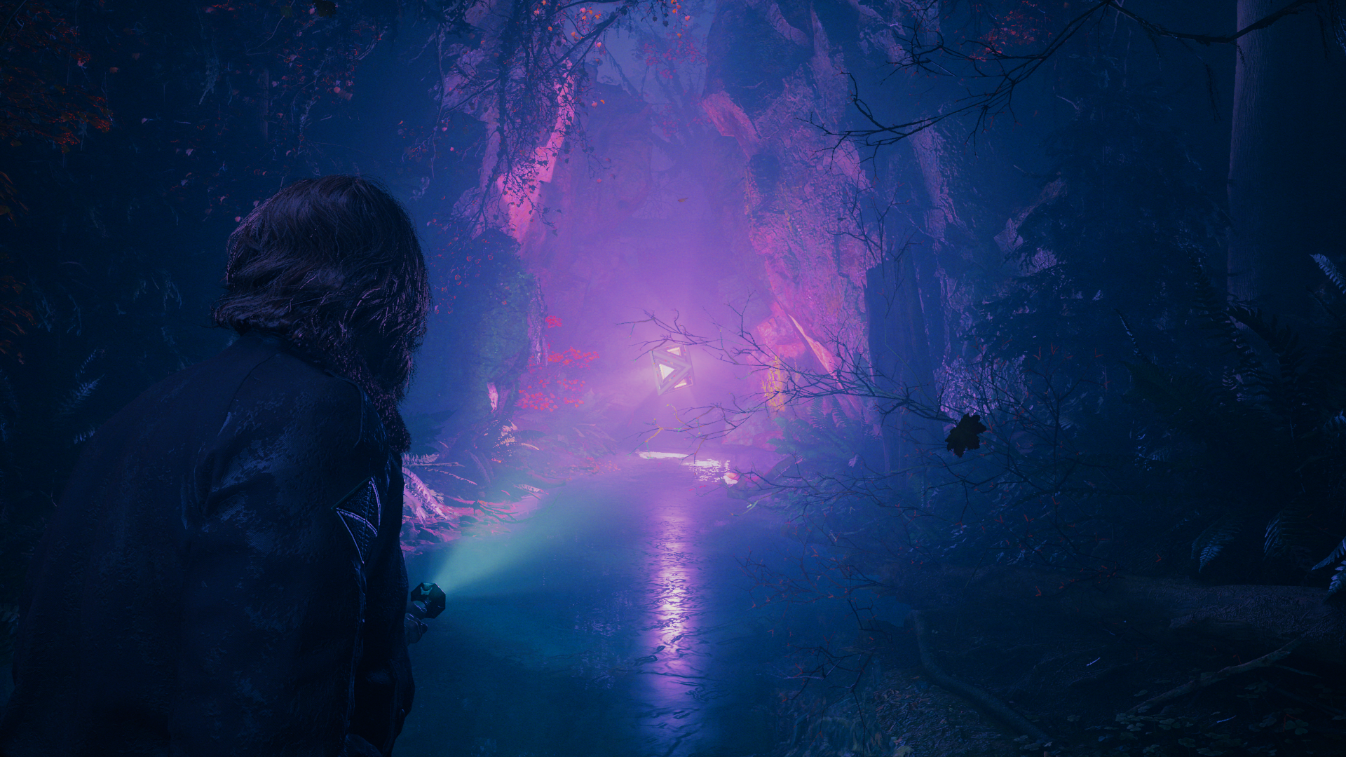 Download Alan Wake 2 Video Game Image by yorai1212