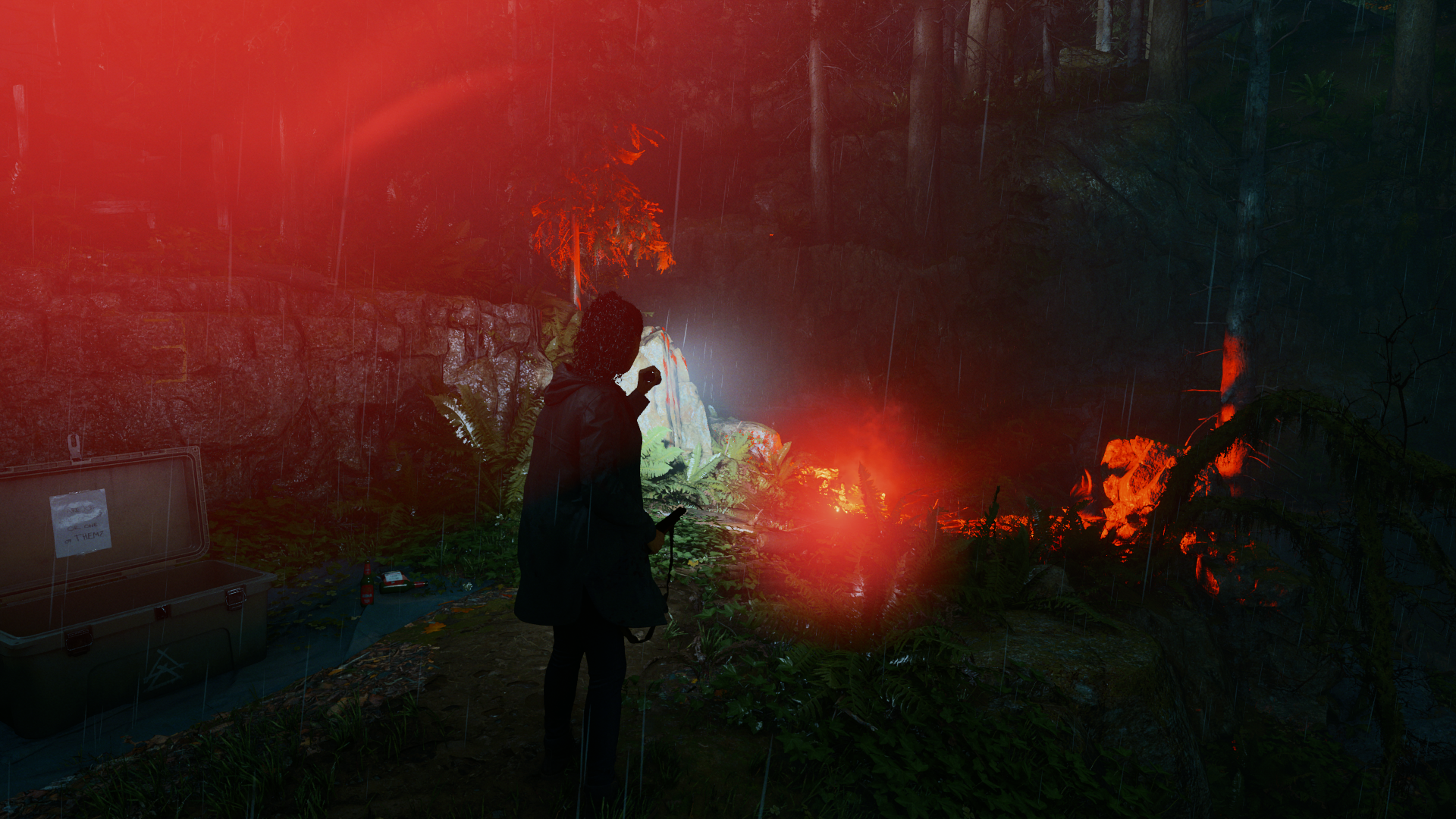 Download Alan Wake 2 Video Game Image by yorai1212
