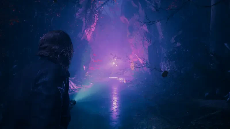 Alan Wake 2 video game Image