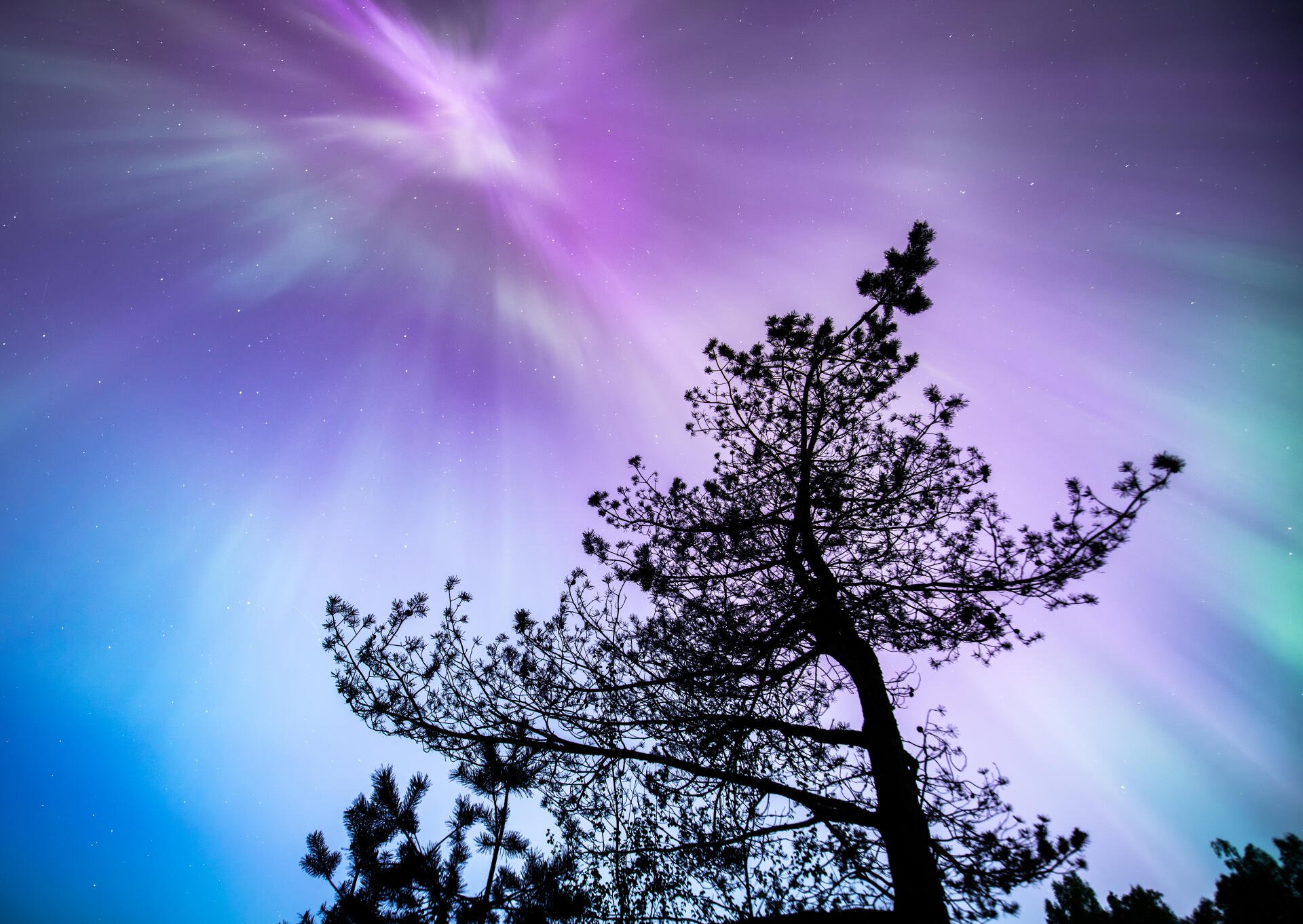 Northern lights 12.May 2024 by PhotoSniper