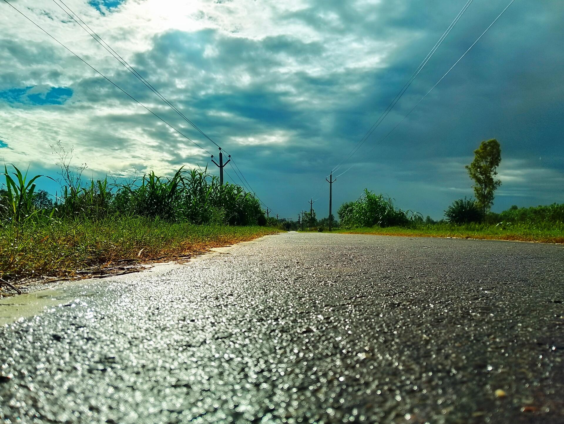 wet road by sandyfire49