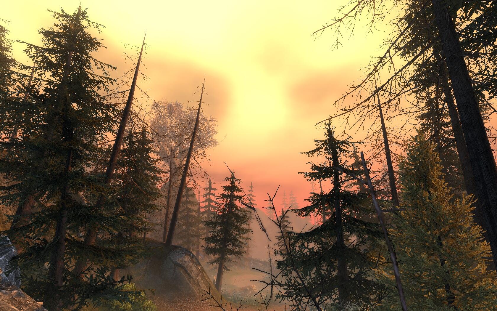 Download RPG Neverwinter Image by singeth