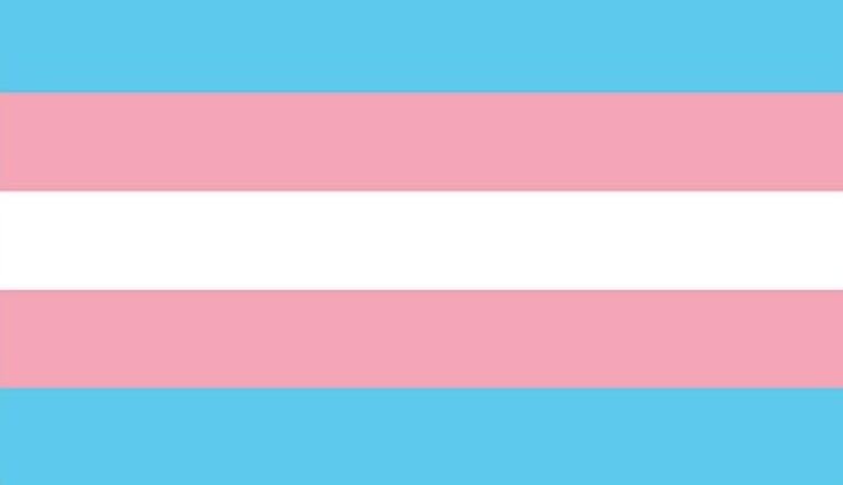Trans Flag by Tha_Undead_2025
