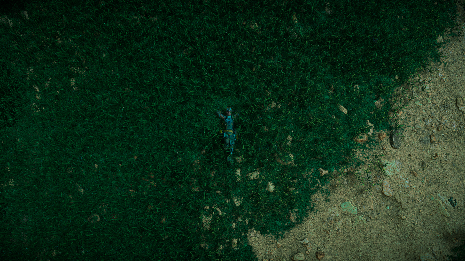 Horizon Forbidden West by emmi