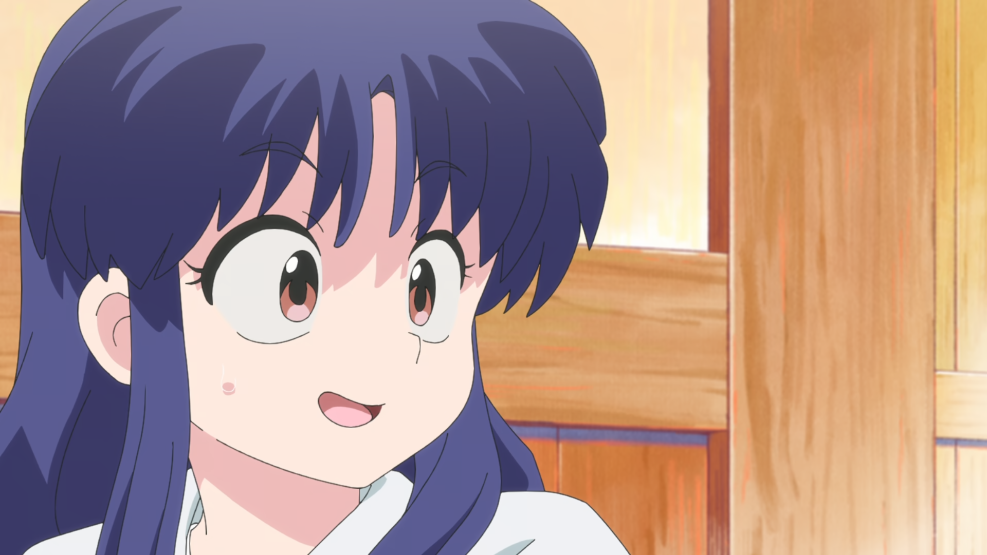Download Ultimakatana Ranma Akane Shampoo Ranma ½ Image