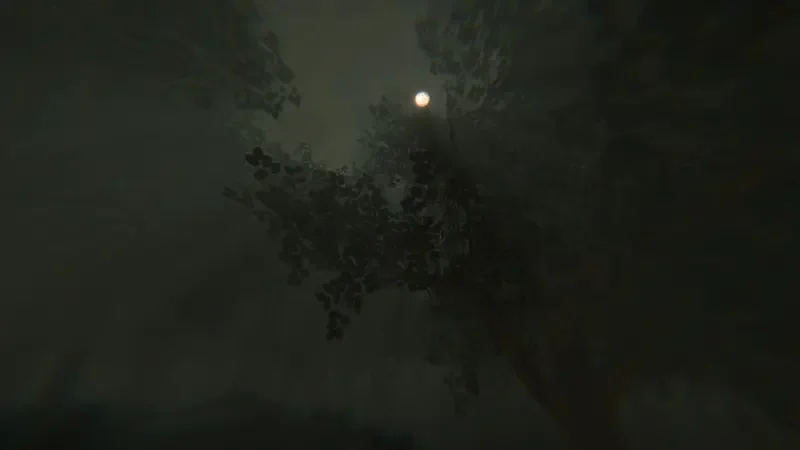 A dark, atmospheric scene from the video game NO STRANGERS, featuring shadowy trees and a faint, glowing moon in the background, creating an eerie and mysterious mood.