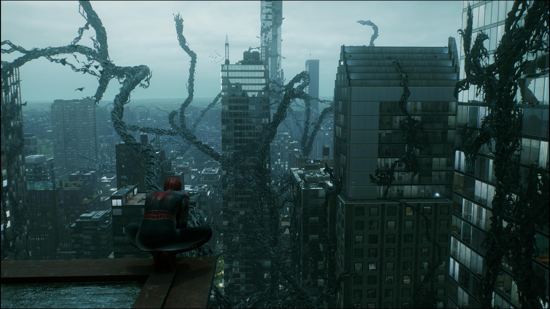 Download Marvel's Spider-Man 2 Peter Parker Symbiote Spider-Man Video Game Image