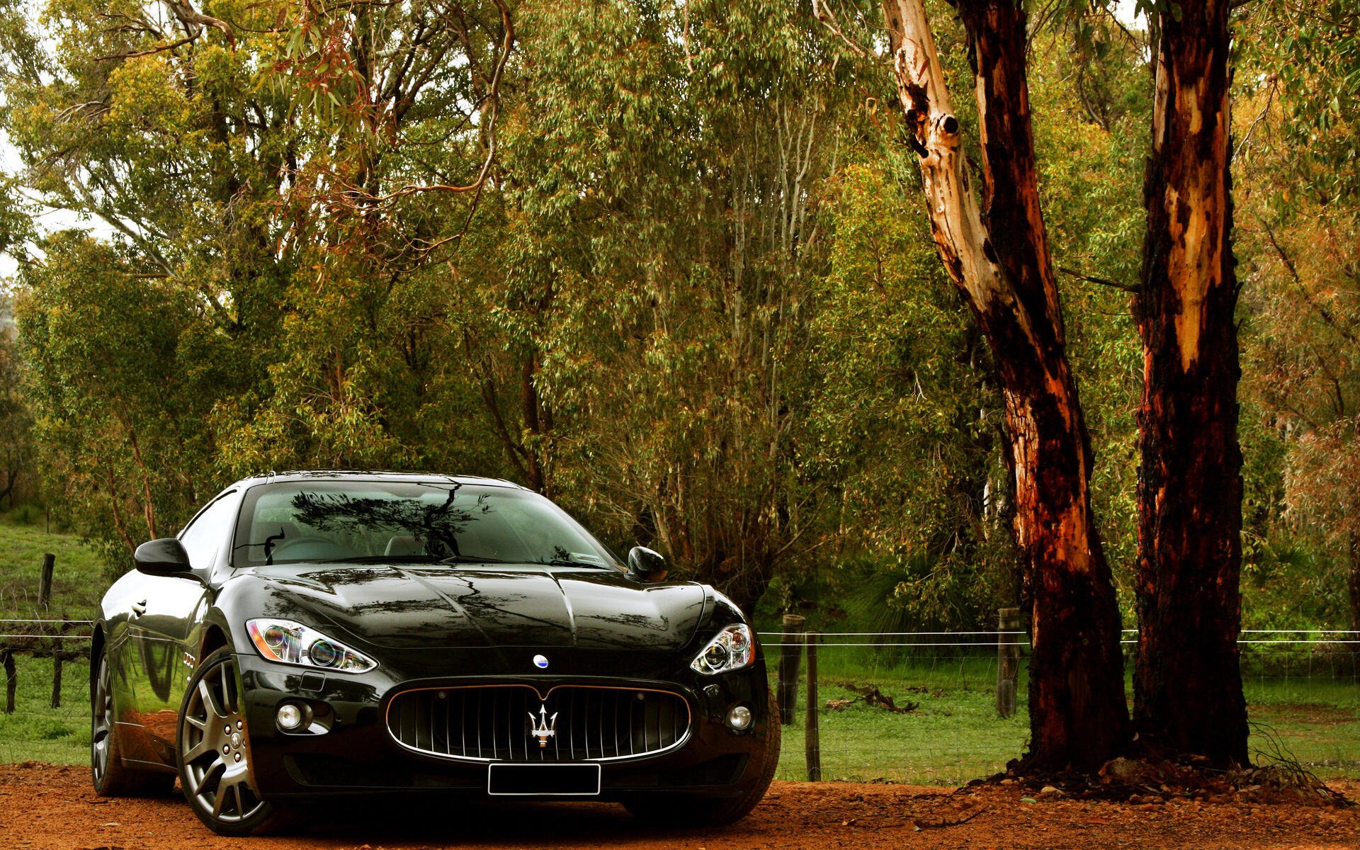 Download Maserati Car Image by KiriLALA