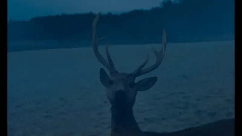  Evil Does Not Exist (2023) by Ryusuke Hamaguchi