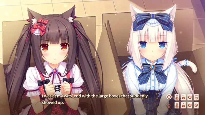 Two cat-girl characters from NEKOPARA Vol. 1 sit together, looking concerned as text expresses frustration about unexpected large boxes that arrived.
