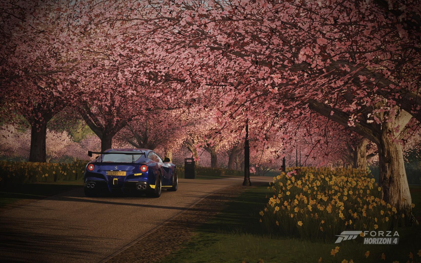 Forza Horizon 4 scene: a blue rally car speeds down a country lane beneath a canopy of pink cherry blossoms, with yellow daffodils lining the roadside.