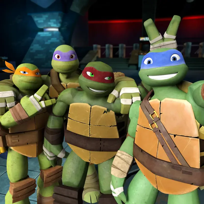 Teenage Mutant Ninja Turtles TV Show Image