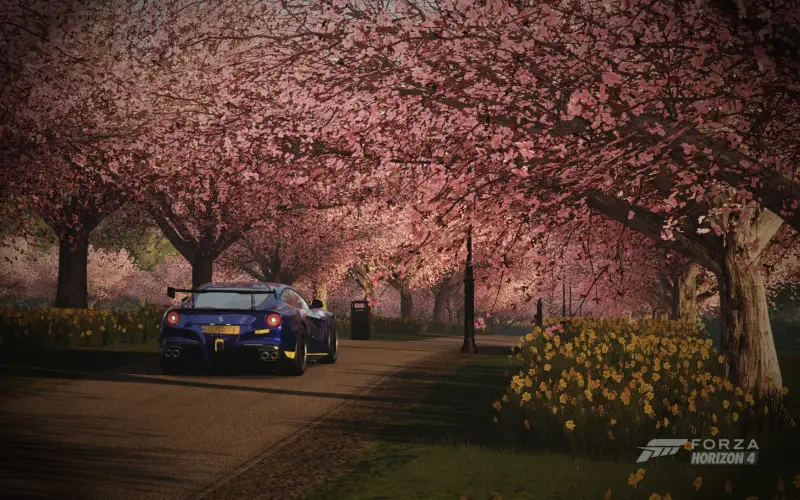 Forza Horizon 4 scene: a blue rally car speeds down a country lane beneath a canopy of pink cherry blossoms, with yellow daffodils lining the roadside.