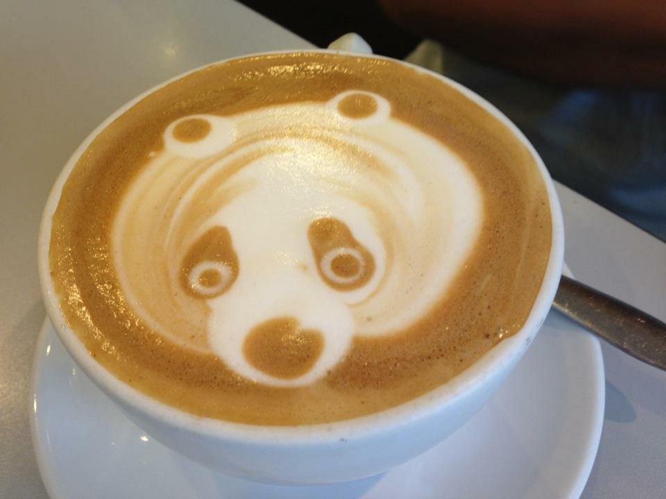 food coffee latte art panda drink Image