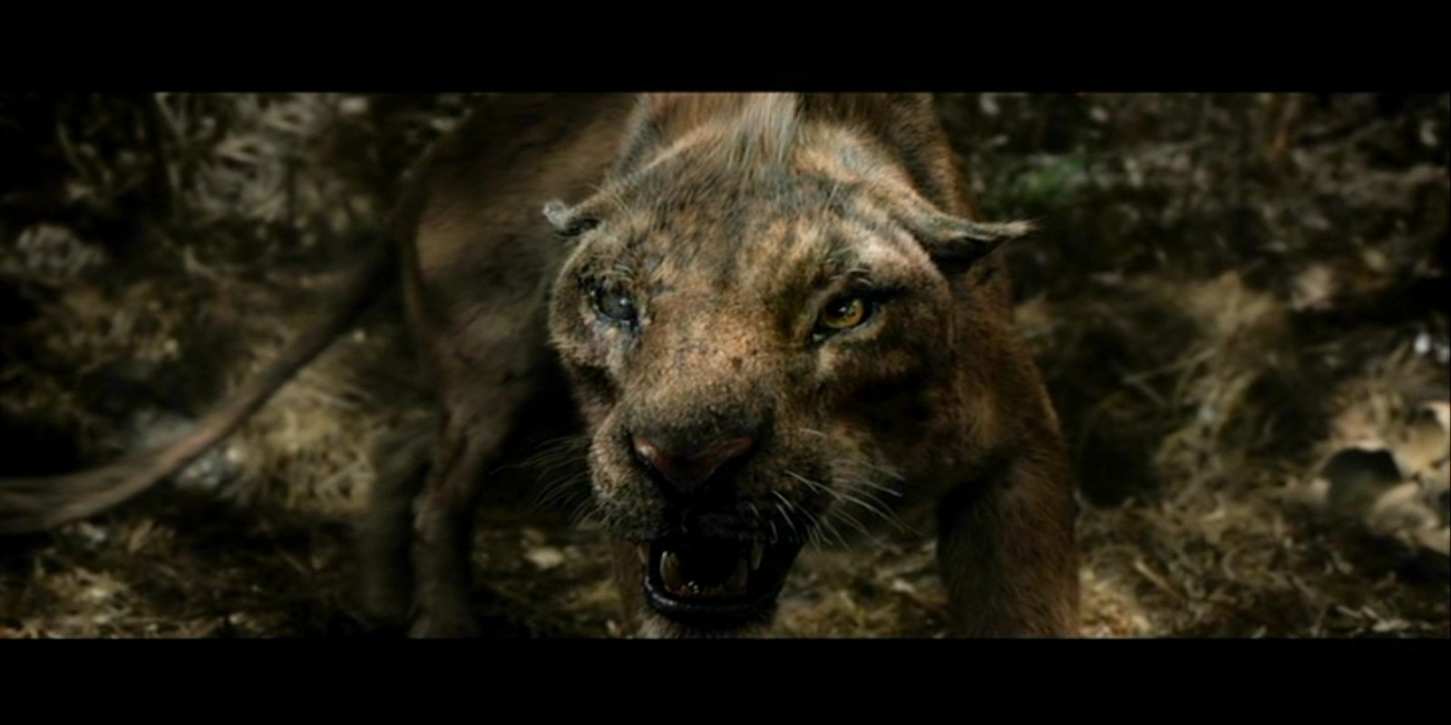 movie after earth Image