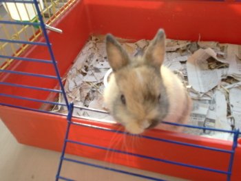 Preview Image 768