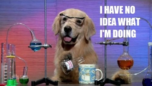 A golden retriever wearing glasses sits at a lab table surrounded by colorful test tubes, humorously holding a beaker with the text, I HAVE NO IDEA WHAT I'M DOING.