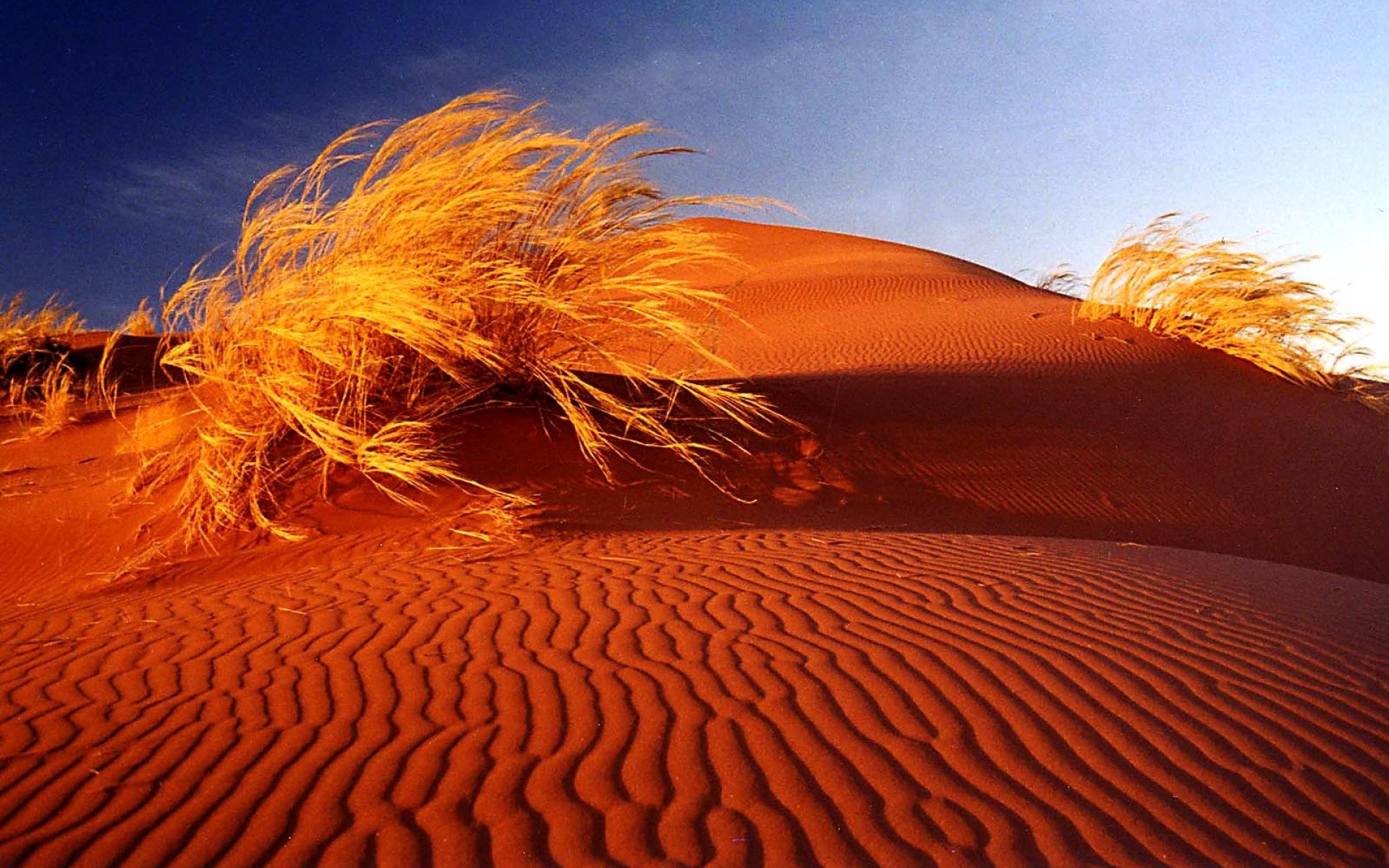  Sand Dunes of South Africa