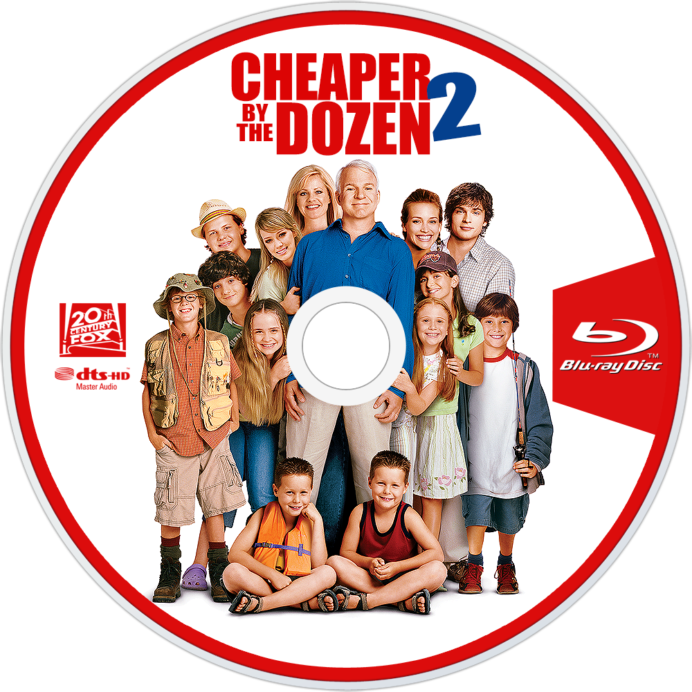 Cheaper by the Dozen 2 Picture