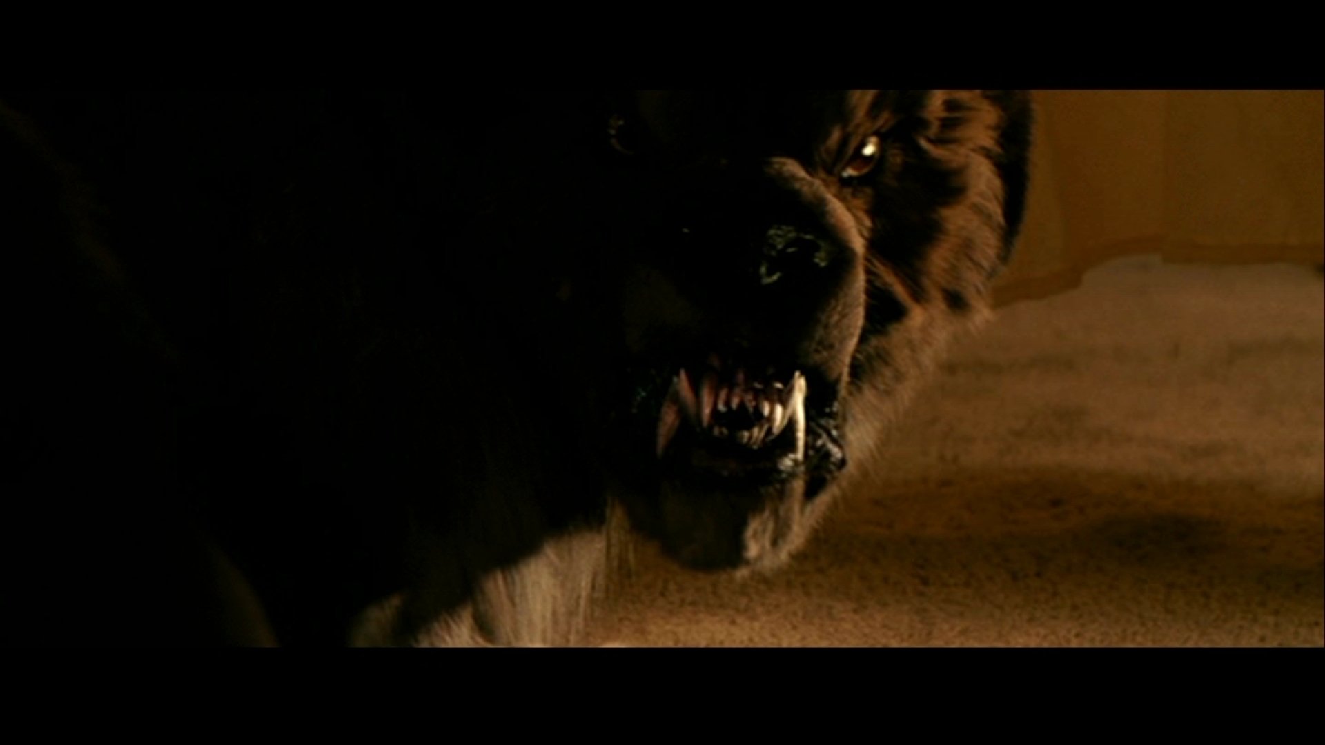 movie cursed Image