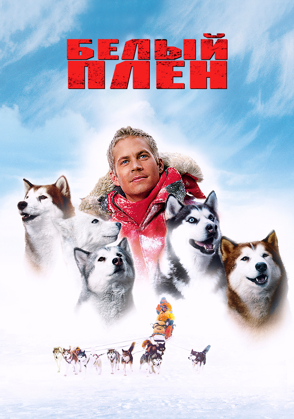 Eight Below Picture