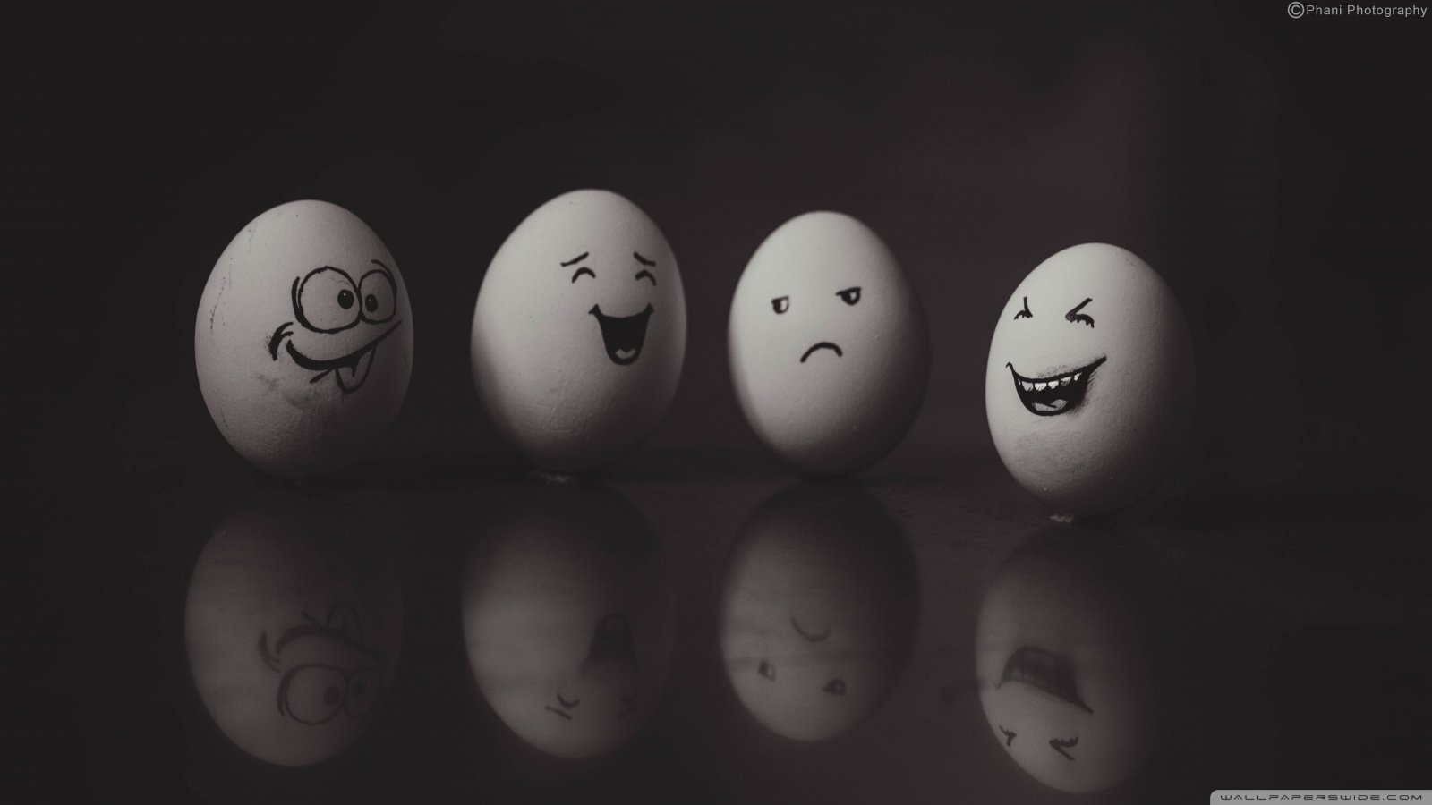  Funny Eggs