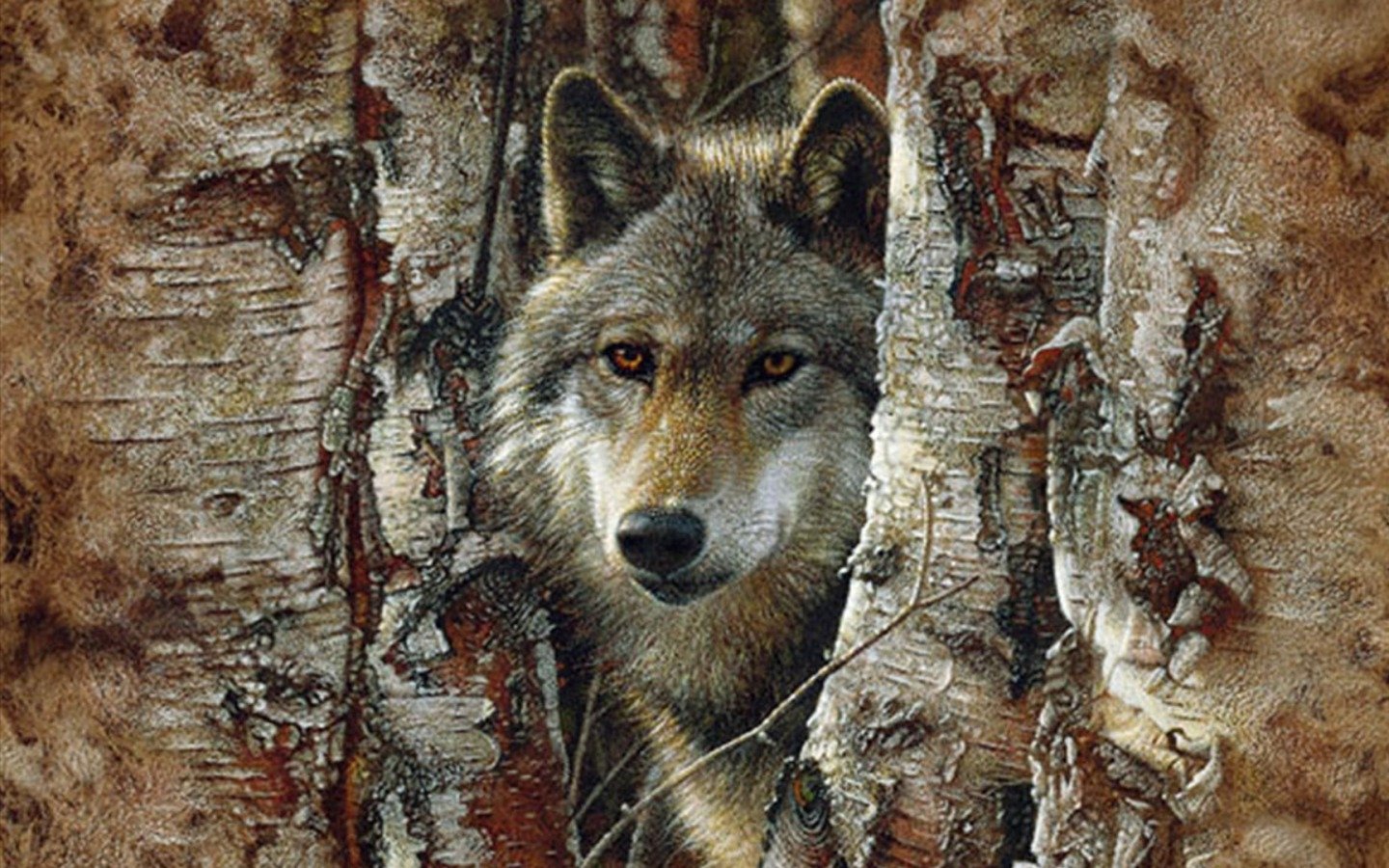 A close-up of a gray wolf's face peering through the bark of a tree, showcasing its intense gaze and the natural beauty of the surrounding environment.