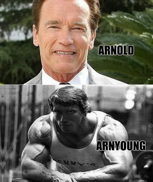 Celebrity Arnold Schwarzenegger bodybuilding fitness comparison Image