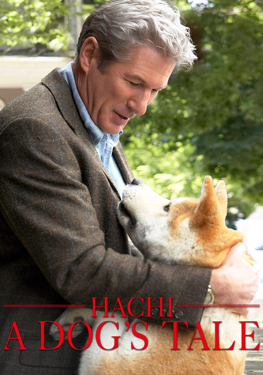 hachi a dogs tale book