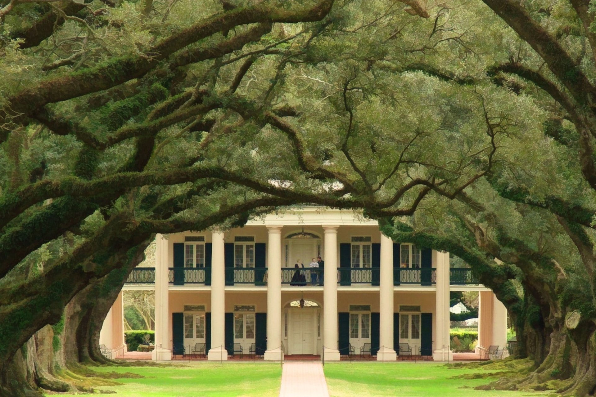A grand house stands at the end of a path, flanked by majestic oak trees that create a lush, tree-lined entrance, showcasing a harmonious blend of nature and man-made beauty.