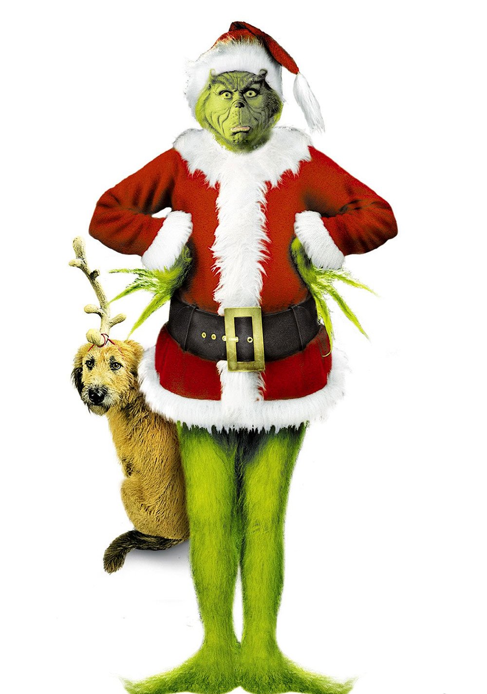 how-the-grinch-stole-christmas-picture-image-abyss