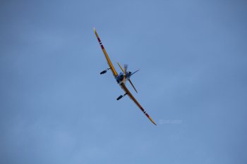 Preview Image 9846