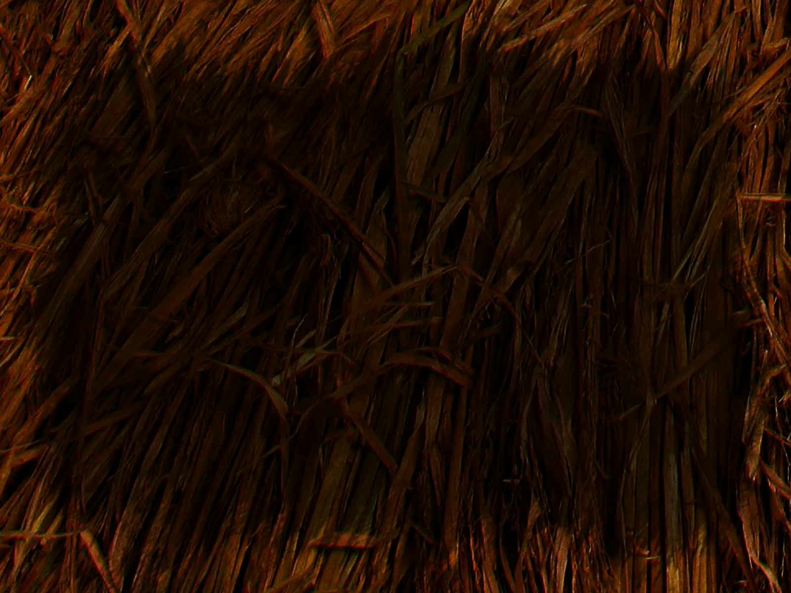 nature straw Image