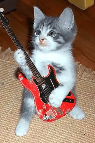cat playing electric guitar - Image Abyss